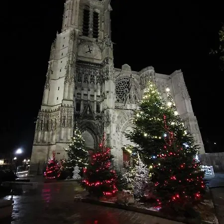 L'ourson De La Cathedrale - Calme - Jardin - Wifi Troyes