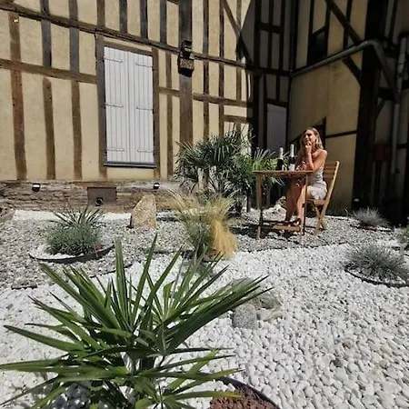 Lejlighed L'ourson De La Cathedrale - Calme - Jardin - Wifi *